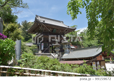 新緑の長谷寺　仁王門　奈良県桜井市初瀬 99159672