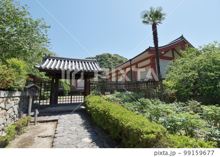 新緑の長谷寺 宗宝蔵 奈良県桜井市初瀬 新緑の長谷寺 宗宝蔵 奈良県桜井市初瀬 99159677