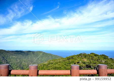 奄美大島　龍郷町　澄んだ空気と冬の青空 99159952