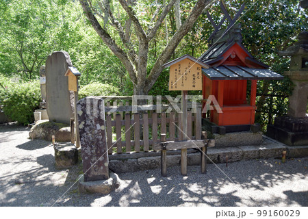 新緑の長谷寺 紀貫之故里の梅 奈良県桜井市初瀬 新緑の長谷寺 紀貫之故里の梅 奈良県桜井市初瀬 99160029