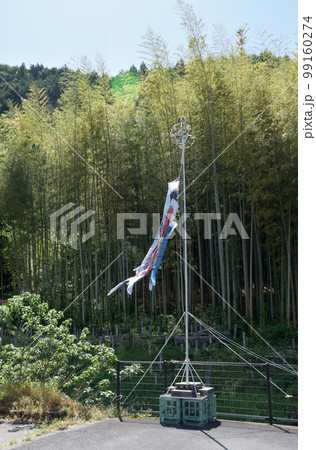 新緑の長谷寺 門前町の民家の庭の鯉のぼり 奈良県桜井市初瀬 新緑の長谷寺 門前町の民家の庭の鯉のぼり 奈良県桜井市初瀬 99160274