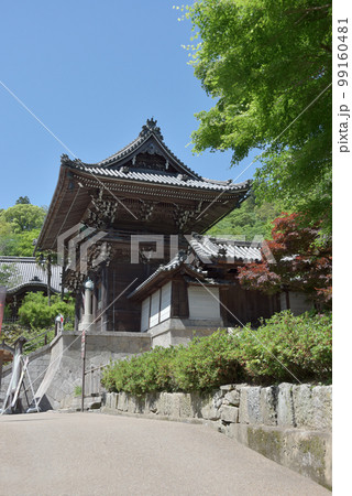 新緑の長谷寺　仁王門　奈良県桜井市初瀬 99160481