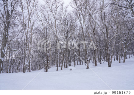 小樽天狗山山頂付近にて・冬 99161379