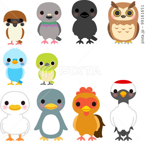 鳥のキャラクターのイラストセット 鳥のキャラクターのイラストセット 99161651