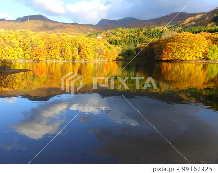 鴫の谷地沼　蔵王温泉　蔵王　紅葉　黄葉 99162925