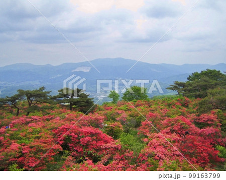 山ツツジの群落と山並み 99163799