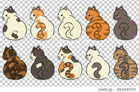 回頭看貓 99164058