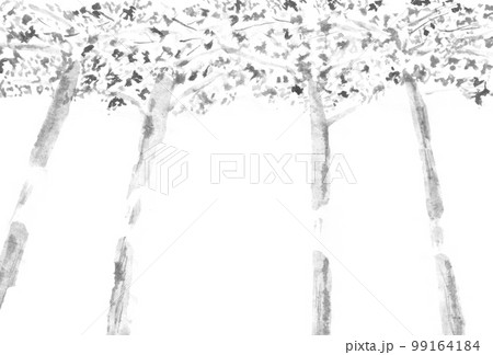 見上げた樹のモノクロ背景(墨の手描きイラスト) 見上げた樹のモノクロ背景(墨の手描きイラスト) 99164184