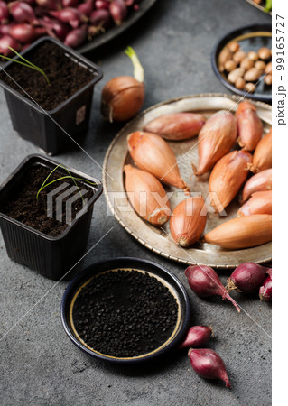 Onion seeds and small onions Onion seeds and small onions 99165727
