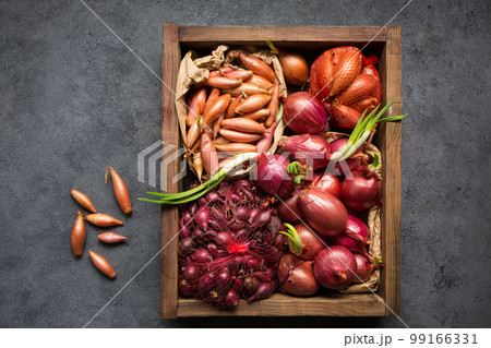 Many different varieties of onions for planting in the ground, top view Many different varieties of onions for planting in the ground, top view 99166331