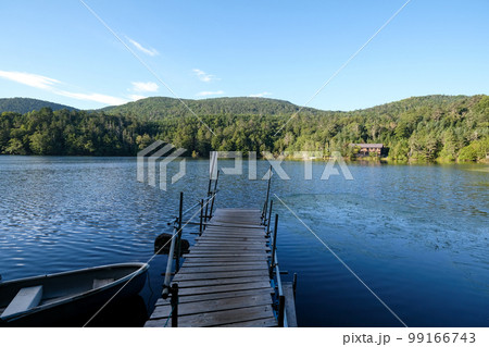長野県　佐久穂町　朝の白駒池 99166743