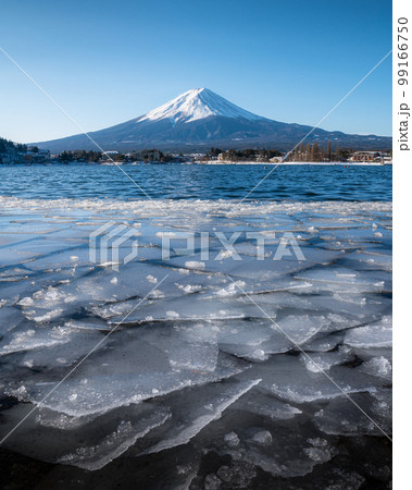 山梨県河口湖町　河口湖の流氷と富士山 99166750
