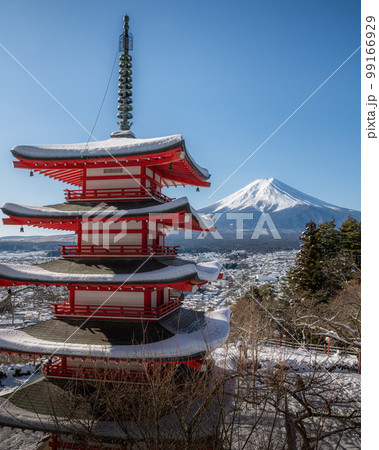 山梨県富士吉田市　新倉山浅間公園の五重塔と冠雪した富士山 99166929