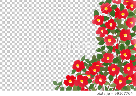 椿の花線無し 椿の花線無し 99167764