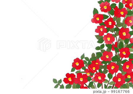 椿の花線あり 椿の花線あり 99167766