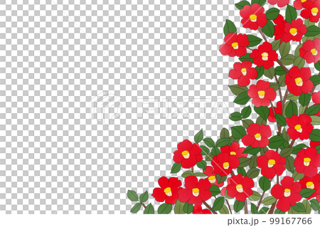 椿の花線あり 椿の花線あり 99167766