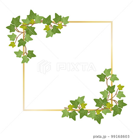 アイビーのフレーム 99168603