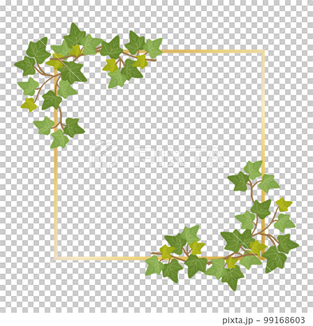 アイビーのフレーム 99168603