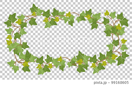 Ivy frame Ivy frame 99168605