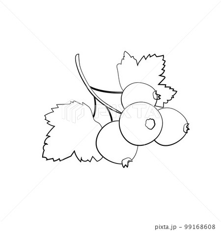 Black currant berry flat icon with inscription colorful vector illustration of eco food isolated on white. blackberry 99168608