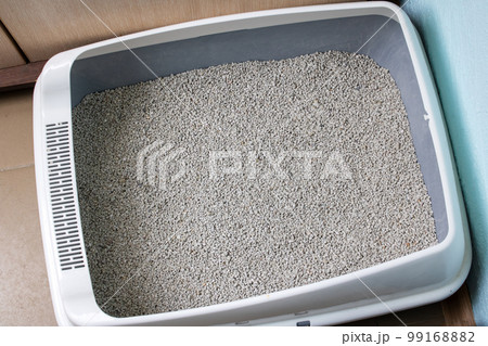 Cat tray with gray betonite filler closeup Cat tray with gray betonite filler closeup 99168882