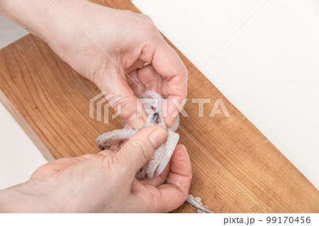 【ミドル主婦がスルメイカをさばく　トンビを外す】 99170456