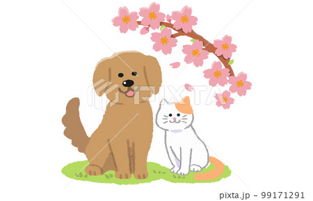 芝生の上でお座りする 犬と猫二匹（手描きカラー） 99171291