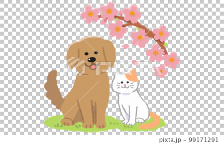 芝生の上でお座りする 犬と猫二匹（手描きカラー） 99171291