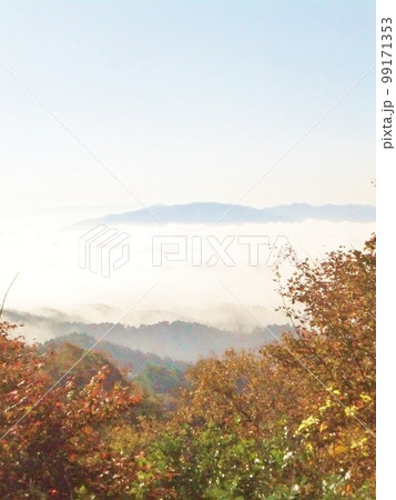 比叡山 秋の紅葉と雲海 比叡山 秋の紅葉と雲海 99171353