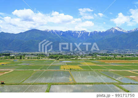 安曇野の5月　田園と北アルプス 99171750