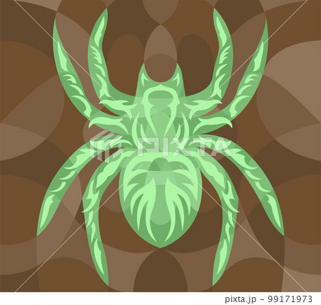 Vector art with colorful green spider silhouette 99171973