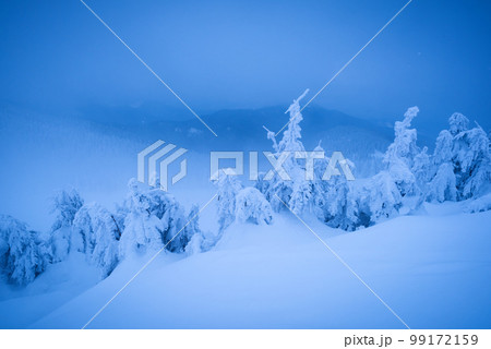 Fantastic winter landscape 99172159