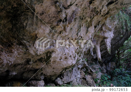 斎場御嶽の鍾乳石(沖縄・南城市) 斎場御嶽の鍾乳石(沖縄・南城市) 99172653