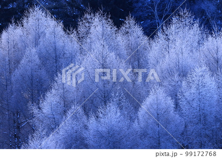 岩手県盛岡市 冬の岩洞湖 岩手県盛岡市 冬の岩洞湖 99172768