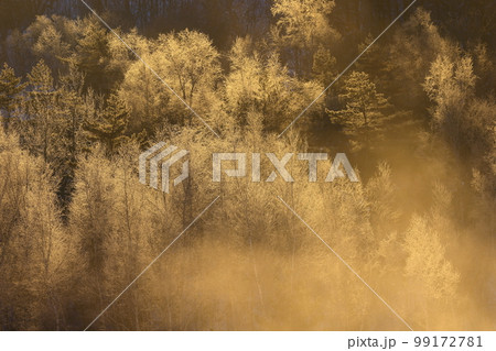 岩手県盛岡市　冬の岩洞湖 99172781