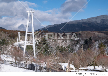 九重夢大吊橋 九重夢大吊橋 99173099