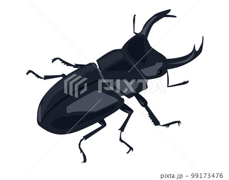 オオクワガタのイラスト 99173476