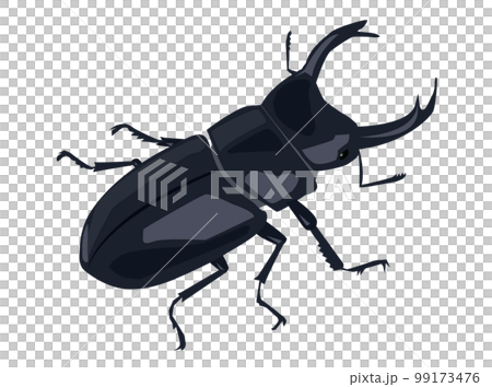 一隻巨大的雄鹿甲蟲的插圖 99173476