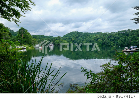 長野県　小海町　夏　松原湖 99174117