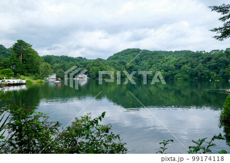 長野県　小海町　夏　松原湖 99174118