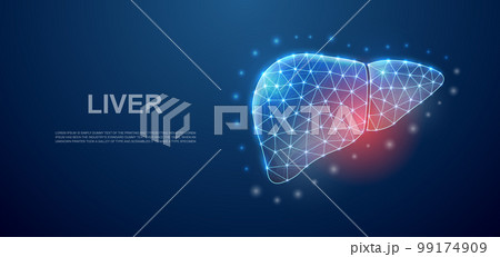 Liver 3d low poly symbol with pain center for landing page template. Liver pain design illustration concept. Polygonal organ illustration 99174909