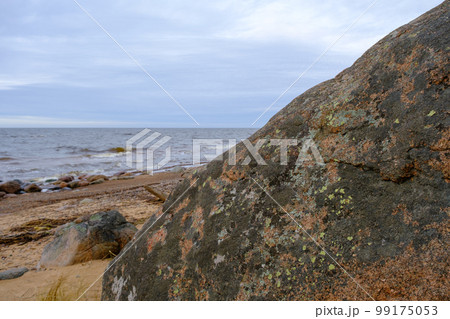 A large stone on the shore of the Baltic Sea in spring. The Baltic Sea in the background. 99175053