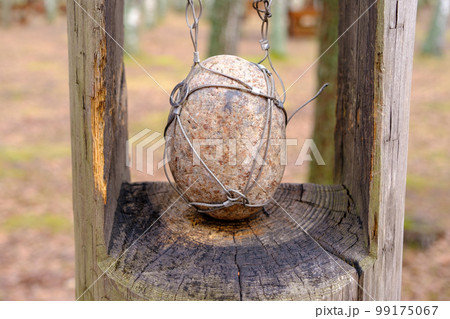 Stone bound in ropes, wooden stand. stone oval smooth surface 99175067