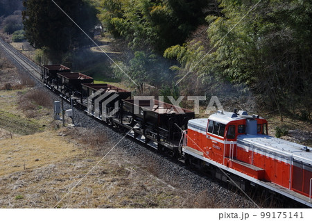 水郡線 袋田付近 DE10工事列車 99175141