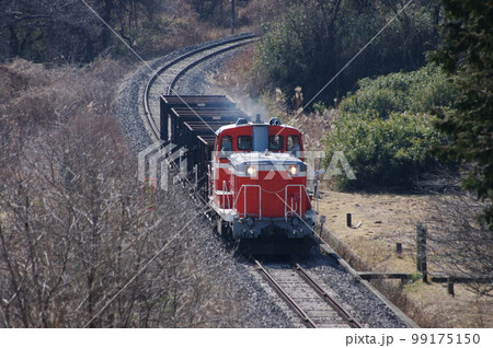 水郡線 袋田付近 DE10工事列車 99175150