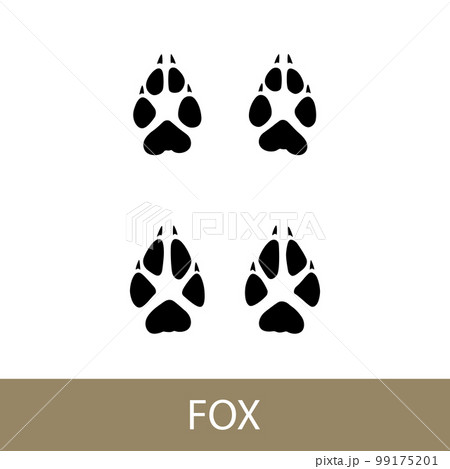 Fox mammal trace 99175201