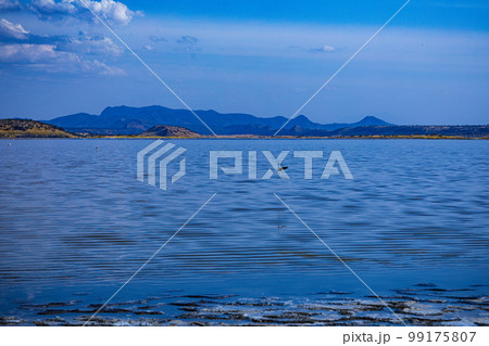 Lake Magadi Salt In Kenya Lake Magadi Salt In Kenya 99175807