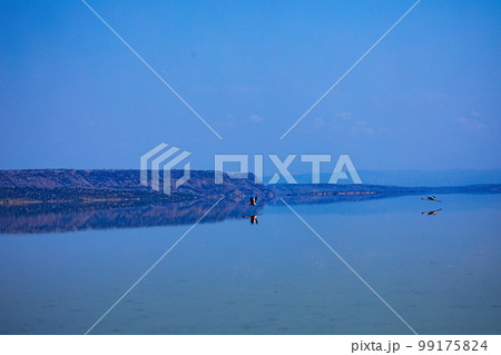 Lake Magadi Salt In Kenya  99175824