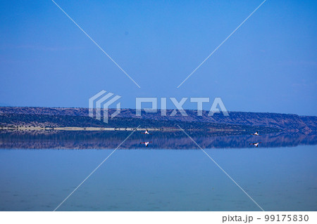 Lake Magadi Salt In Kenya  99175830