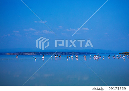 Lake Magadi Salt In Kenya Lake Magadi Salt In Kenya 99175869